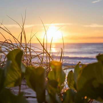 Rajesh testimonial image