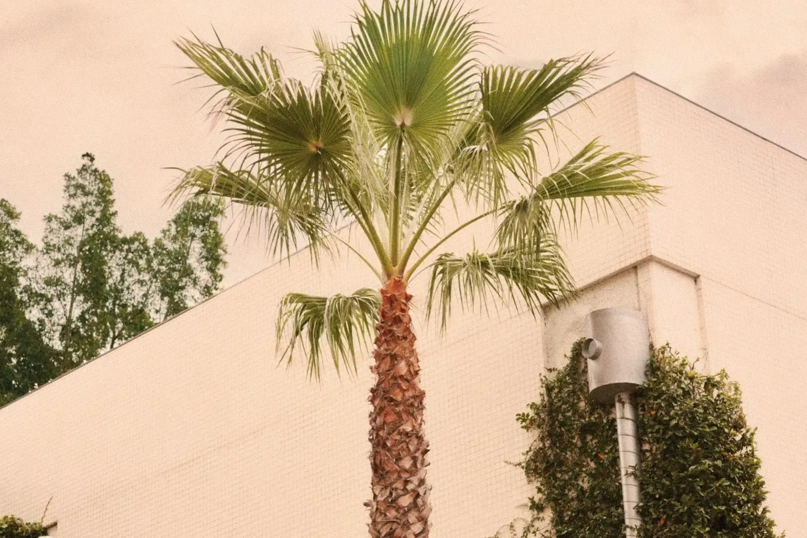 Bentley Gallery Image 5