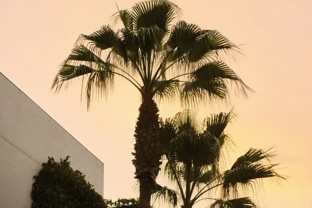 Bentley Gallery Image 9