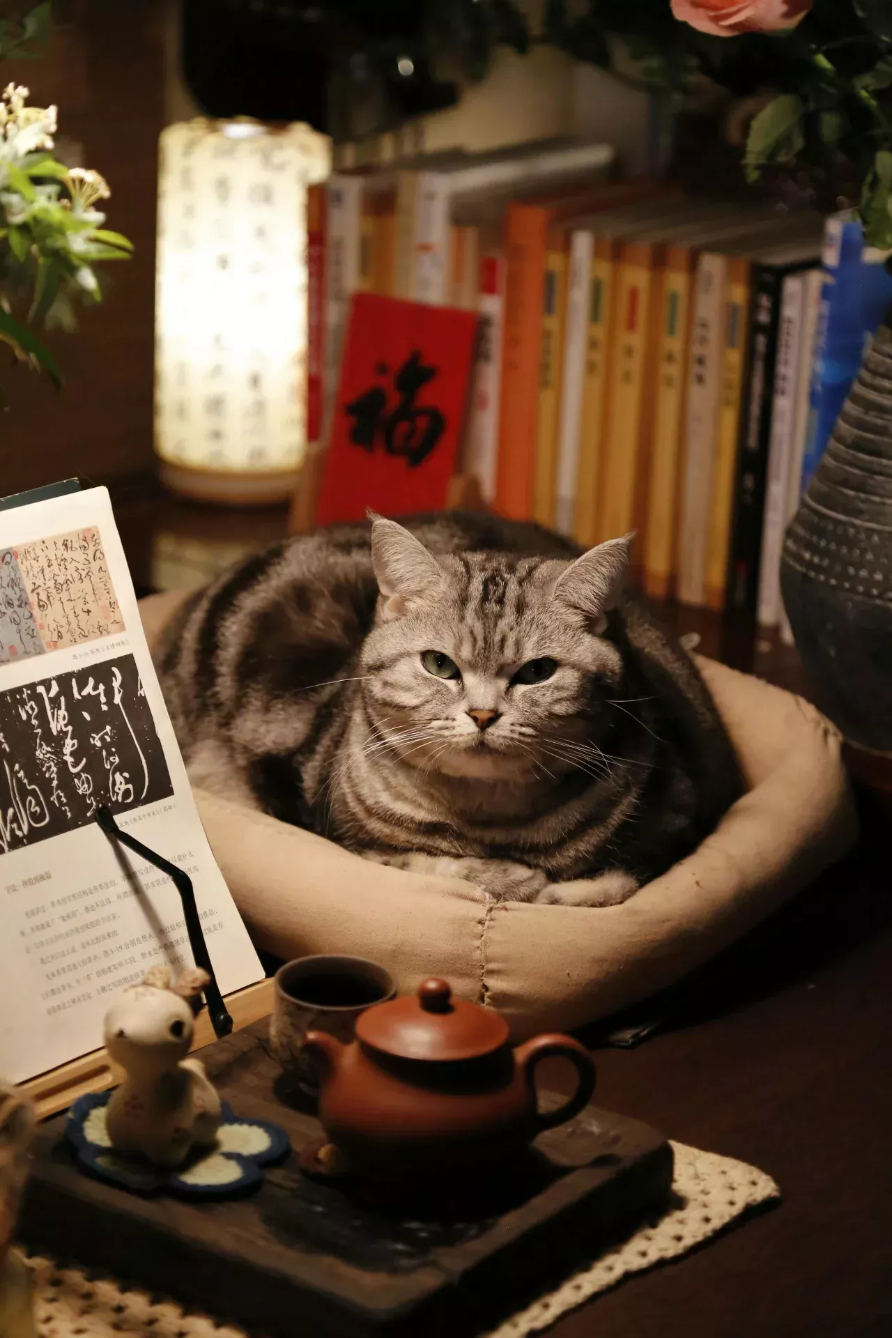 Locals Helping Locals