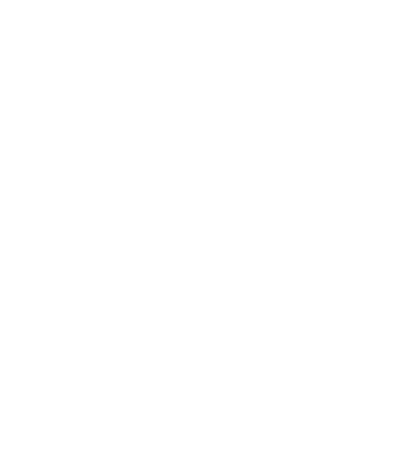 Feature Logo